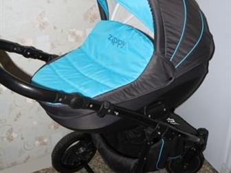 Tutis Zippy Sport Plus 31,           ,      ,     