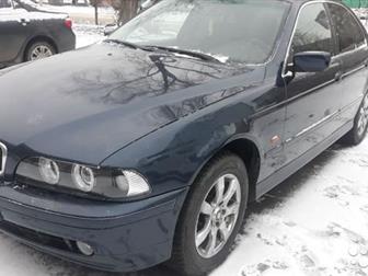  BMW E39    ,    ,   ,    ,   ,          