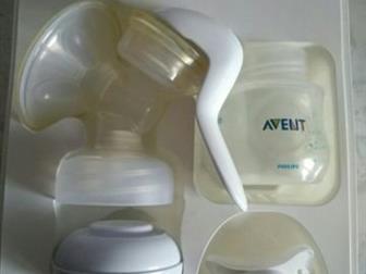   Avent         -  ,      51: /  