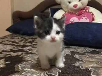 , 6, 10  , ,   ,       