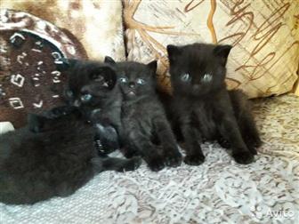   ,  16, 10  ,  