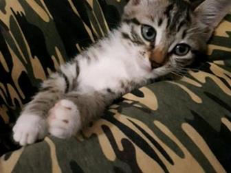     ,  ,    ,     ,     ,   ,   ,   