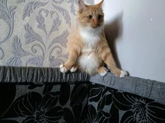 ,       ,  