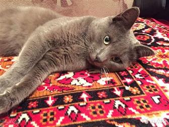    ,   ,    ,      ,    ,    ,   ( ),   