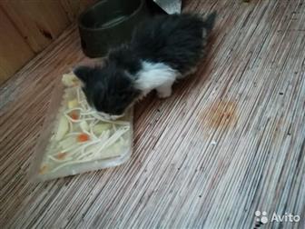      ,  1  24  ,  ,    -,   ,  ,  