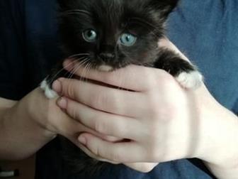      ,  1  24  ,  ,    -,   ,  ,  