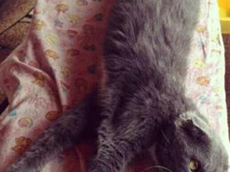     ,    ,  , ,  ,   ,  ,    ,         