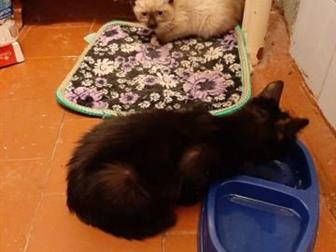        ,  : 2 ,   (  5  ,    ),  