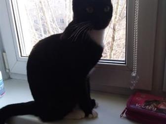           ,   1,5   ,   ,     ,  ,   ,  