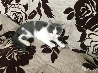   ,    2018 ,    ,    ,    ,  , , , ,    