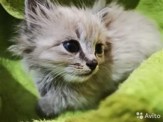     ,      ,       ,      ,   ,  