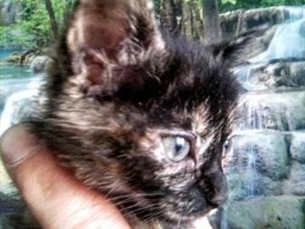    ,  , , ,   ,    ,   ,        ,  