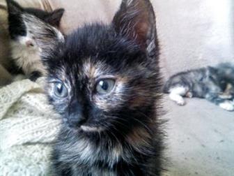    ,  , , ,   ,    ,   ,        ,  