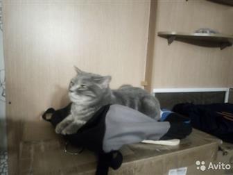    ,   3 ,    ,    ,   ,  3806217    ,  