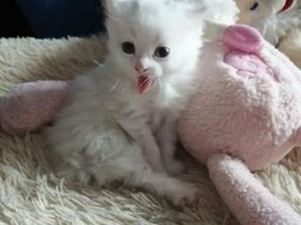  ,     !    ,  ,   ,   ,  