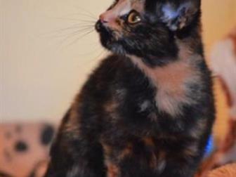    ,   6-8 ,  , ,    ,  ,  