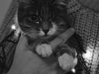   , , 6 ,  ,  , ,    , ,  