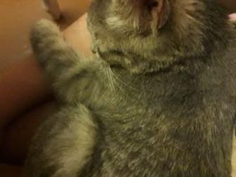 !      ,  ,    ,    !    