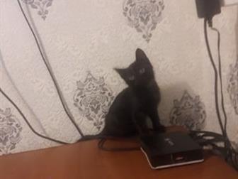       ,    ,   ,    ,    ,     ,  