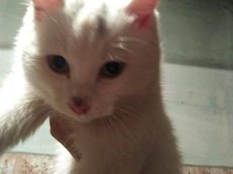   ,   5 ,  ,   , ,     ,  