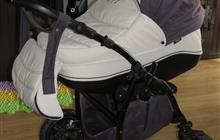  zippy tutis 2  1 +  (  10 , ,  , )