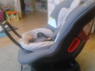  Graco  0  18 ,      ,  5  ,    , : /  