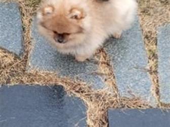   ,   ,   ,   , , ,  ,        