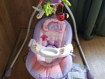   CARETERO BUGIES PURPLE,    ,    6 ,    ,  ,      