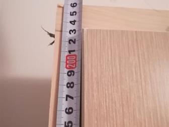   ,    (,),     ,    ,    2700 4  () 80?2101   