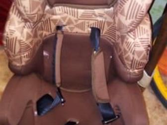  Bertoni (Lorelli) Kiddy  9  36     ,     ,      