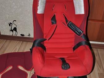    Inglesina,       18 ,   ,    ,   ,  ,   