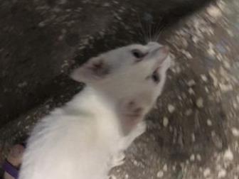      ,      3,    ,         ,     ,  