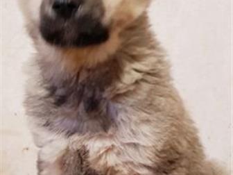 ����� -�������,  ��� ������ � ������� ����� � ��������,    ��������� �� ���������,  ������� ������,  ������� ����� ���� ������, � �������������