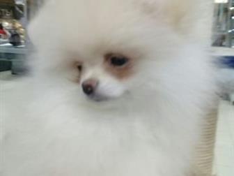     ,   ,,,-,  , ,,    ,  