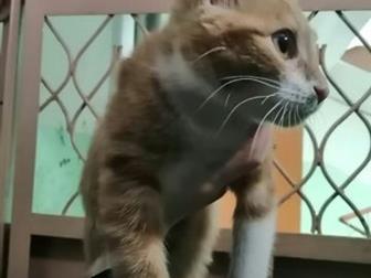 !   , ,      ,   , ,   ,   ,     