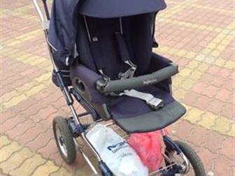   inglesina,      , : /  