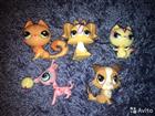 Littlest Pet Shop