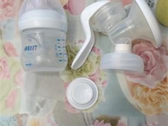      Philips Avent  ,       ,     ??????:  