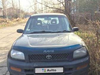  RAV4   ,   ,   : 3VIN   : SXA100****81 : 3: I (19942000):  