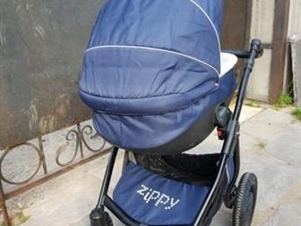 Zippi sport 31  ,    , : /  