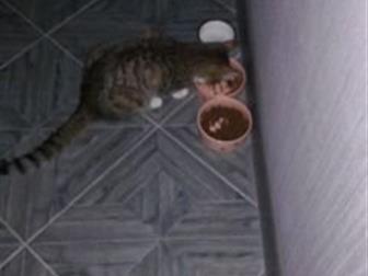       !!!       !        !    !!!!   