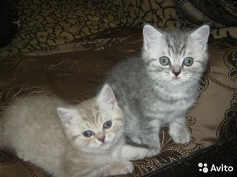   ,  ,  2 ,   ,   ,  5-6,   