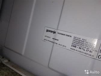   Gorenje 2013    ,      , -   ,       