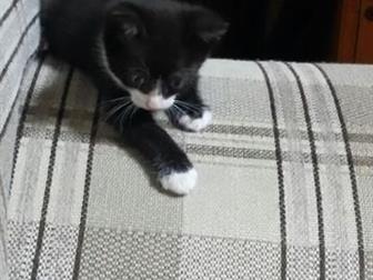    ,      ,   5 ,   ,   ,  