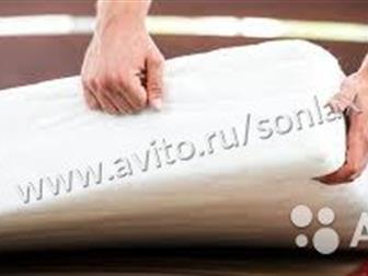 >  Standart cocos,  ,    ,  >> :   ,   , ,   