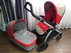  2  1 Peg Perego Book plus Pop Up