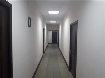    

         6,  
   :
	 3: 30 ,  , , 650 /,  