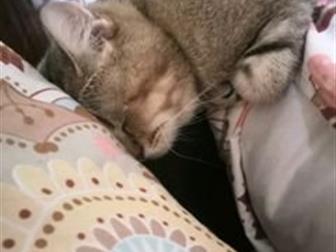  !   ˸) 3   ,               