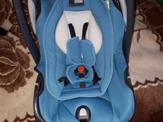   0  ( 13 ) ROAN Babies Millo   ,   ,       ,   ,  