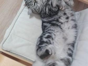   ,     ,    , 22, 06, 2014 , ,     MystiCat,    ,   